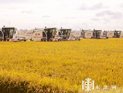 2020年黑龙江省农民丰收节举办水稻开镰比赛