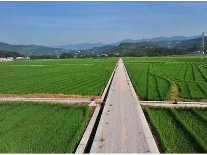 新管理办法出台是为了进一步规范农村土地经营权流转行为