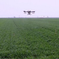 安徽小麦200万亩统防需大疆10架以上团队联系