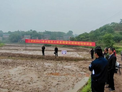 [重庆] 江津举办2021年水稻无人机直播暨机插秧现场培训会