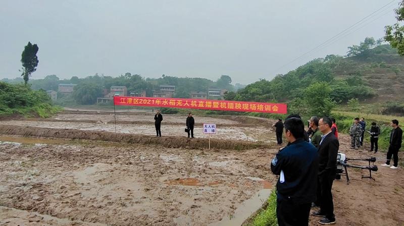 图为水稻无人机直播现场