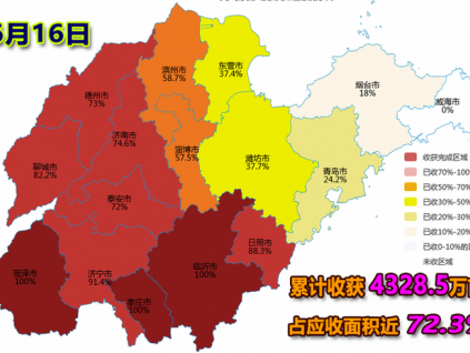 麦收快讯-【6月16日】山东省各地夏收进度（图）