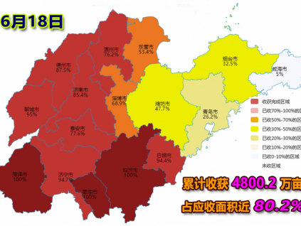 麦收快讯-【6月18日】山东省各地夏收进度（图）