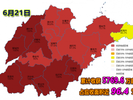 麦收快讯-【6月21日】山东省各地夏收进度（图）