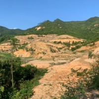 600多亩山地打除草剂