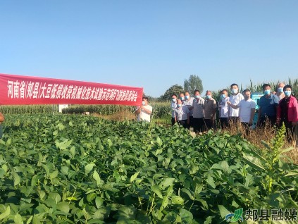 河南：郏县举办2021年大豆低损收获机械化技术试验示范项目飞防植保现场会