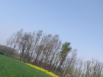 河南省南阳市2000亩耕地专包