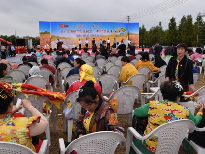 宿州市埇桥区举办“中国农民丰收节”庆祝活动