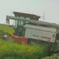 安徽3200亩水稻1180收割机马上联系