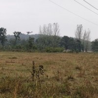 郑州500亩旋耕地播种打药