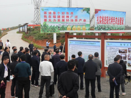 广西百色：天上飞地上走 林业机械全都有