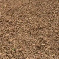 昌吉玛纳斯北五岔镇1200亩需大马力犁地