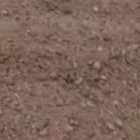 泊头找旋播机400亩地用深翻犁耕地