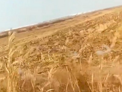 东营5000亩土地出租