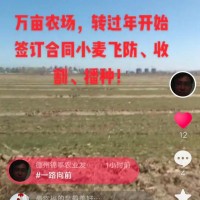 团队合作，喀拉斯、凯斯、GM100