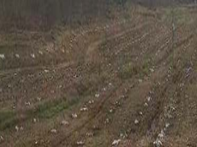 四川绵阳200亩水浇地出租
