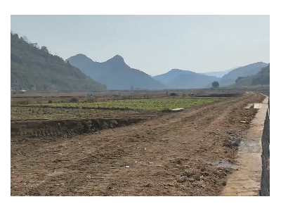 出租湖南江永700亩水浇地