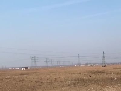 出租济南章丘区大葱种植园252亩