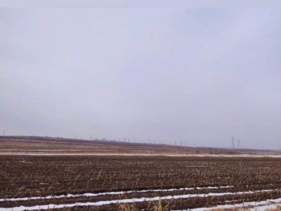 出租兴安盟跃进马场2800亩耕地