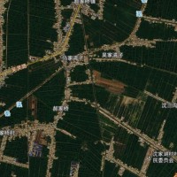 宁夏小麦统防大田作业