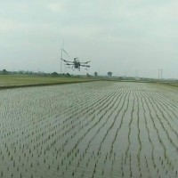 四川达州7万亩水稻统防撒肥不限机型