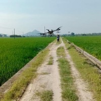 桂平400亩找无人机洒药
