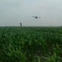 抚顺永陵附近130亩  飞机联系