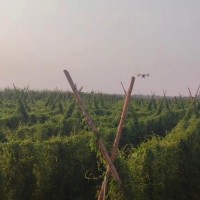 山东聊城茌平区附近有没有无人机