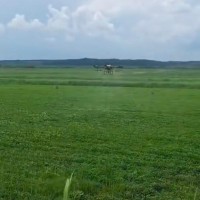 黑龙江北安赵光农场附近 140垧玉米大疆3040联系