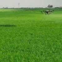 无锡200包水稻撒肥不限机型
