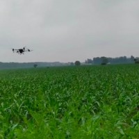 鄂尔多斯伊和乌素500亩玉米飞防，大疆飞机联系
