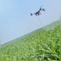 呼市土默特沙尔沁500亩玉米飞防3040联系
