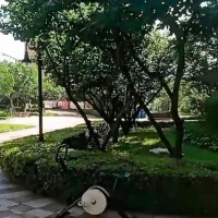 济南高新区60亩小区绿化飞防，不限机型