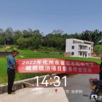 广东水稻统防统治(广东附近飞机联系)