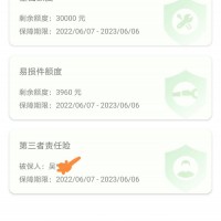 自用准新大疆t40