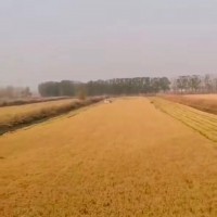 天津用剪刀收割机价格美丽