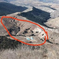 辽宁朝阳400亩苹果树飞防大疆或极目联系