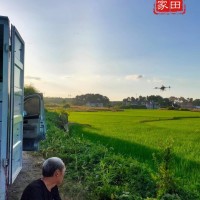 安徽二遍统防三十万亩