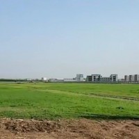云浮新兴草坪飞防不限机型