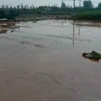 益阳沅江140亩水稻撒尿素，不限机型
