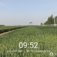 小麦收割