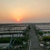 苏州吴江100亩丝瓜飞防不限机型