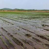 建三江农场扬肥喷药长活
