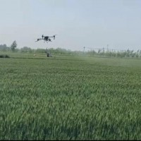 小麦收割