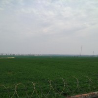 河南统防