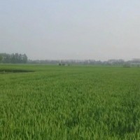 太和统防