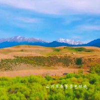 米东区旅游区找无人机打药