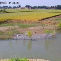 小麦收割