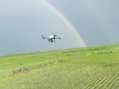 承接齐齐哈尔地区内无人机喷药播撒吊运