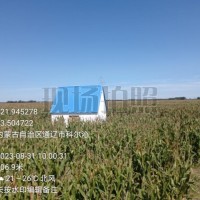 绥化无人机飞防，优质服务。